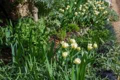 DSCF2473-2