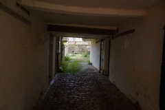 DSCF2480