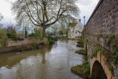 DSCF2541