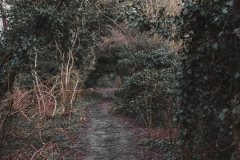 DSCF1733