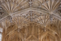 DSCF2234