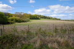 DSCF2879