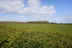 DSCF2882