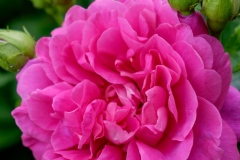 DSCF0064