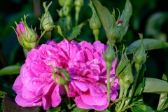 DSCF0169