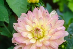 DSCF4418