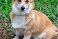 DSCF9299