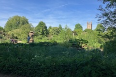 IMG_0382