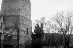 DSCF4673