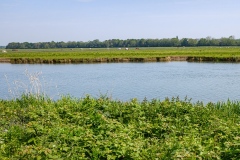 DSCF3132