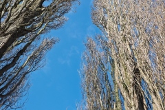 DSCF4892