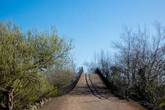 DSCF4893