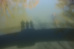DSCF4896