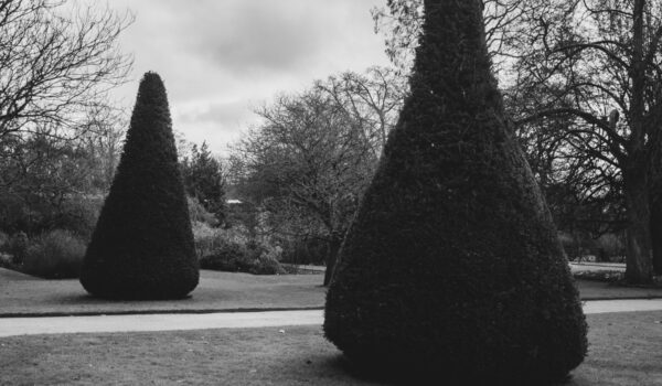 Oxford Botanic Garden, Early Winter