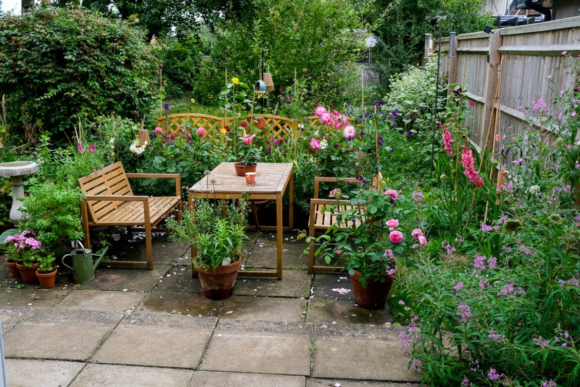 My Garden, August 2024