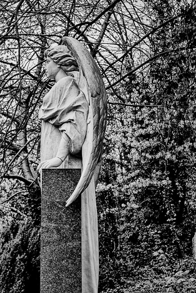 _MG_6648-Edit